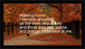 My Poem Tanka Poem That Talks About How I Like The Autumn Season Japanese Poem Make Me Laugh Tanka