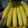 Pisang muda masak lemak cili api dengan ikan masin. Https Encrypted Tbn0 Gstatic Com Images Q Tbn And9gcq6f6t 4qzppgjff2g0imavfog1k4utgxhjx2inoy0zw8n8jomm Usqp Cau