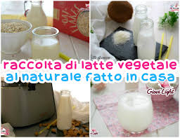 I migliori e come sceglierli. Raccolta Di Latte Vegetale Al Naturale Fatto In Casa Giovi Light