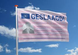 Rijbewijs gefeliciteerd  peacebus . Geslaagd Voor Het Rijbewijs Vier Het Met Deze Unieke Rijbewijsvlag