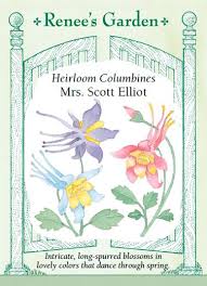 Flowers by renee garden city. Flowers Renee S Garden Seeds