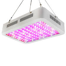 The best led grow lights will vary upon your grow. Ktaxon 1200w Double Chips Full Specturm Led Grow Light For Greenhouse And Indoor Plant Flowering Growing 10w Leds Walmart Canada