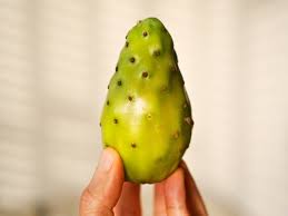Crisp and a little sweet, like a cross between jicama and an apple. Is Cactus Fruit Poisonous Here Is The Truth Cactusway