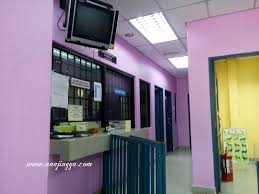 Jangan panik, datanglah klinik kerajaan | harian metro Pertama Kali Bawa Kucing Ke Klinik Veterinar Kerajaan