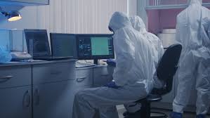 Top 5 Bioinformatics Skills to Master for Success in 2024