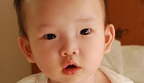 Suzanne Kramer Adopting