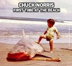 Chuck Norris Jokes&Facts | 😎🤣👍 | Instagram