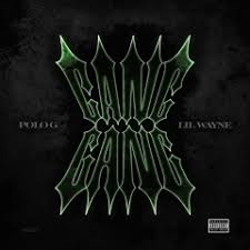 Hall Of Fame By Polo G