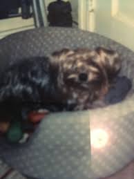 Ronald Frederick Seay (1947-2020)