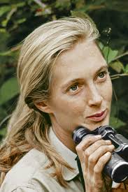 Image result for Fadogiella