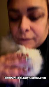 Love Purring Machines 😺 #ThePersianLady