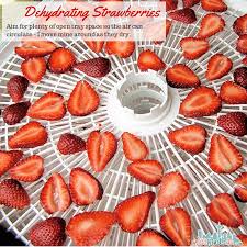It was easier than i thought and the result was super yummy. How To Dehydrate Strawberries Hints Tips For Drying Berries