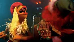 The best gifs for animal drums. Best Animal Drums Gifs Gfycat