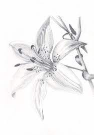 Pin On Embroidery Patterns Flowers