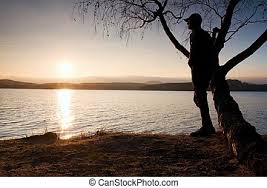 Choose from hundreds of free sunset pictures. Man On Tree Silhouette Of Lone Man Sit On Branch Of Birch Tree At Sunset At Shoreline Man On Tree Silhouette Of Lone Man Canstock