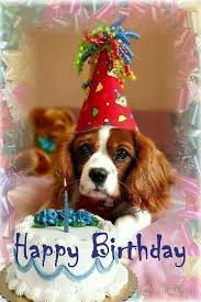Happy Birthday Katy Mckenzie Happy Birthday Greetings Happy Birthday Pictures Happy Birthday Cards