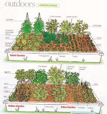 They should provide the height and width of mature plants, as well this is my grocery list example that fits in a 4×8 raised bed. Vegetable Garden Layout And Ways To Improve My Garden Plant