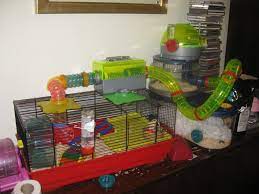 Rotastak dining room the rotastak dining room is compatible with the entire rotastak range and comes with a slide out fee. Daisy S New Cage Setup Hamster Cages Cage Animal Projects