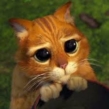 Farewell Letter From Shrek Kedi Ve Hayvanlar