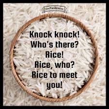 Knock Knock Who S There Rice Rice Who Rice To Meet You Ide Bagus
