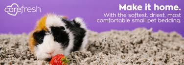 Carefresh Natural Small Pet Bedding 60 Liters Petco