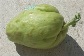 We did not find results for: How To Grow Chayote In 15 Easy Steps