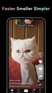 Tiktok Lite 17 5 1 Download Android Apk Aptoide Tiktok, previously known as musical.ly, has become one of the trendiest social.