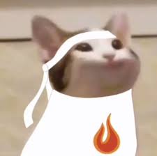 24 Dreamsmp As Popcat Ideas In 2021 Pop Cat Dream Team Dream Art