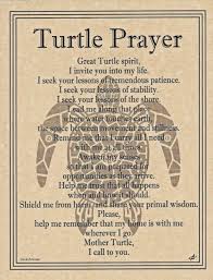 Turtle Prayer Shaman Animal Spirit Poster Art 8 1 2x11 Native Amer Celtic Wicca Turtle Quotes Spirit Animal Meaning Animal Meanings
