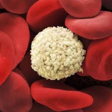 Maybe you would like to learn more about one of these? FurnicÄƒturi In Picioare Divahair Ro