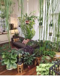 Are you looking to add a little zen to your home or office? 24 Ideas How To Create Your Own Indoors Jungle House Plants Indoor Room With Plants Jungle Decorations