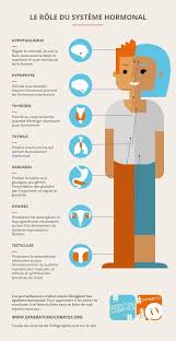 Le Role Du Systeme Hormonal Nursing Information Medical Anatomy Science Biology