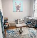 Creative Dog Room Ideas for the Perfect Space | Nylabone