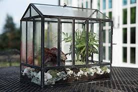 Amazonsmile Urban Born Handmade Glass Terrarium Mini Hanging Greenhouse 10 5 X6 25 X10 25 Garden Outdoor Terrarium Glass Terrarium Fairy Garden