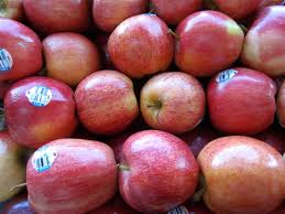 The disadvantages with taking the pill is you have to. Biological Vs Chemical Pest Control Benefits And Disadvantages Owlcation