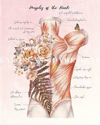 Gift For Massage Therapist Floral Anatomy Massage Room Art Muscular System Posters Massage Therapy Prints For Naturopathic Office Decor Massage Therapy Treatment Massage Room Massage Art