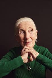 Sarah Boteler's Instagram, Twitter & Facebook