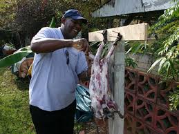 Don't judge me.the budget is a little tight this month. Gallery Down South How To Cook A Raccoon