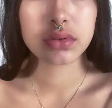 Pin By Aspen Earls On Piercing Septum Jewelry Septum Nose Rings Nose Ring
