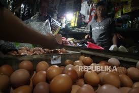 We did not find results for: Harga Telur Ayam Ras Di Ambon Turun Republika Online