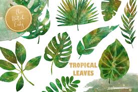 Get it as soon as fri, jul 23. Tropical Jungle Leaves Clipart Set Graphic By Daphnepopuliers Creative Fabrica