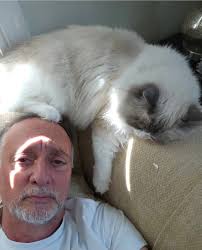 Elsa likes to hold things. Sometimes it's my hand, sometimes it's a flag  😂🇬🇧