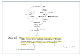Creating Scientific Graphs And Tables Displaying Your Data Clips