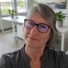 Who provides home organizing services for older couples?