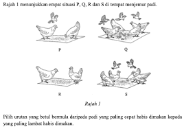 Investigating living things tema 1 : Soalan Latihan Sains Tahun 5 Upsr Online