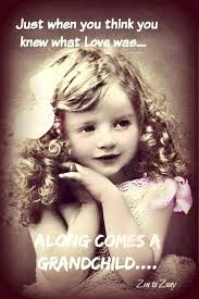 From Zen to Zany....