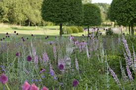 Hornbeam Beehives And Planting To Resemble Meadows Garden Design By Angel Collins Garden Design Plants Garden