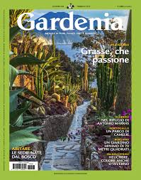 Un ottimo passatempo è il giardinaggio dove è possibile sbizzarrirsi attraverso una vasta gamma di vasi e fioriere da piantarci al loro interno fiori e piante per esterni personalizzando, con un tocco di colore e. Gardenia N406 By Lidia Montermini Issuu