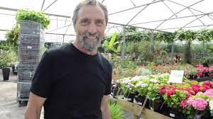 How To Look After Salvia Hot Lips And Similar Varieties Youtube