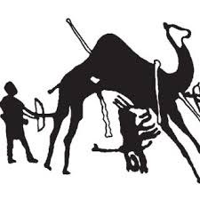 The dromedary is the next largest member of the camel family after the. Pdf The Dromedary Domestication Problem 3000 Bc Rock Art Evidence For The Existence Of Wild One Humped Camel In Central Arabia